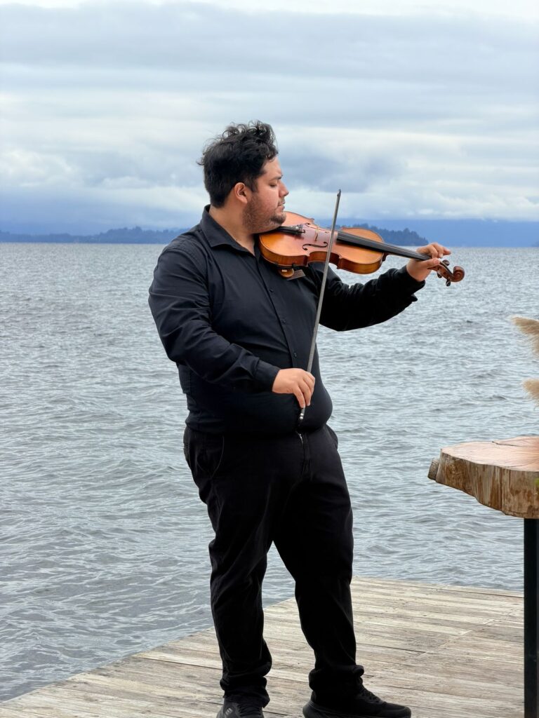 Violín